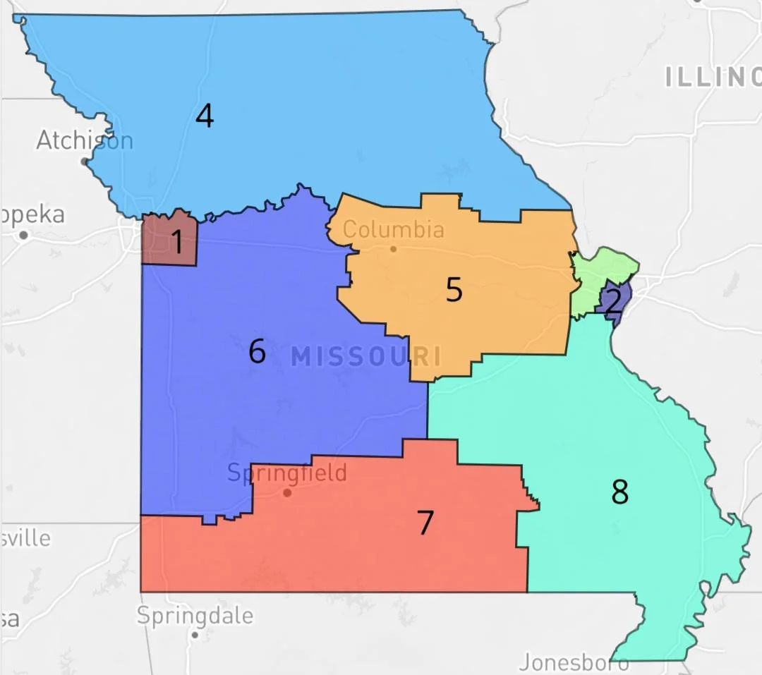 Another UAW Win: Redistricting Is Now On The Ballot!